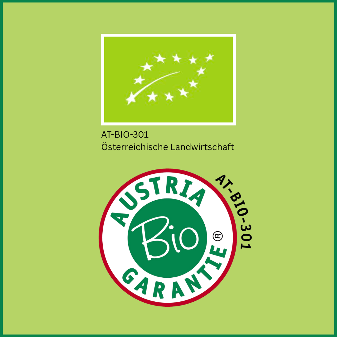 Bio Festtagssauce Mango Curry