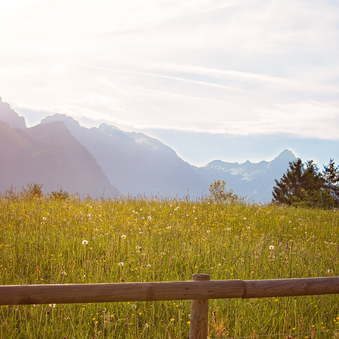 Natürlich genießen – warum Qualität den Unterschied macht