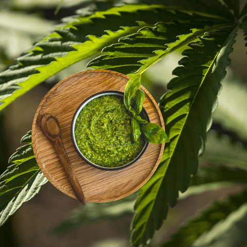 Häufig gestellte Fragen zu Hanf- und CBD-Produkten