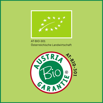 Bio Festtagssauce Mango Curry