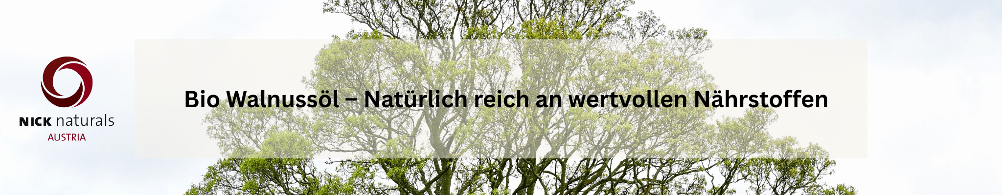 Desktop Bild